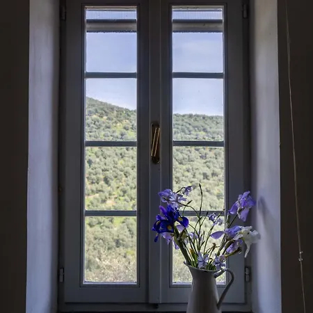 Apartment Ca' Roscia Dolcedo